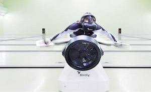 birdly-featured-image_2